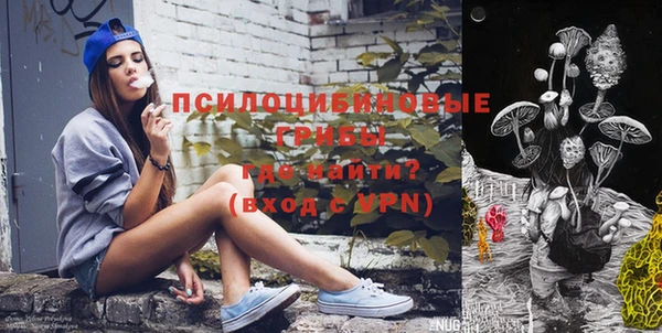 ешки Мегион