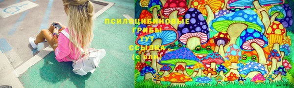 эйфоретик Медвежьегорск