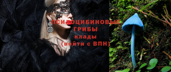 ешки Мегион