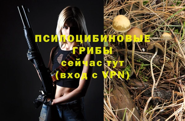 MDMA Медногорск