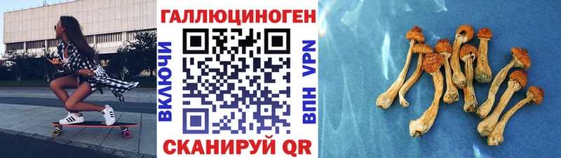 блэк спрут зеркало  Куртамыш  Галлюциногенные грибы Psilocybine cubensis  купить наркоту 