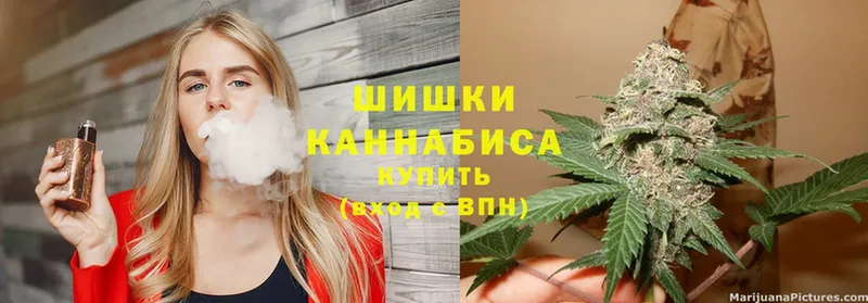 Бошки марихуана SATIVA & INDICA  hydra ONION  Куртамыш 